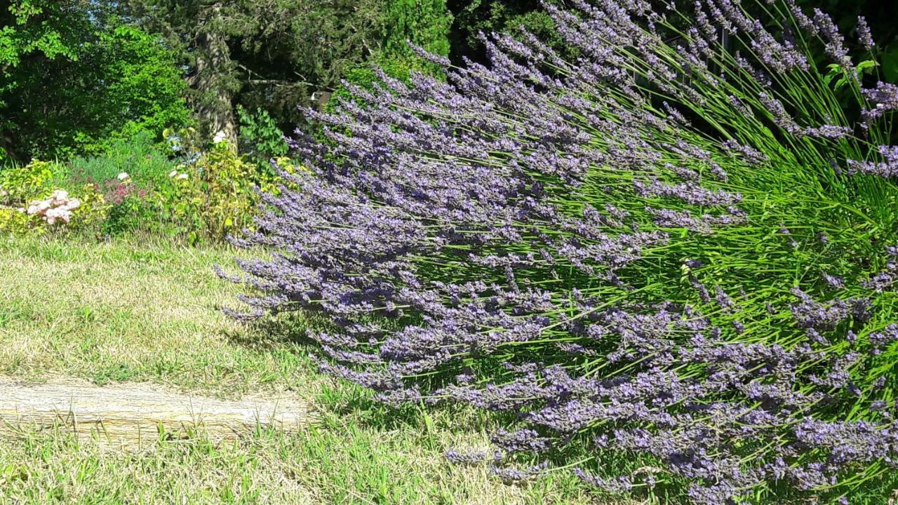 Вилла Bastide De Fanny Rognes Экстерьер фото